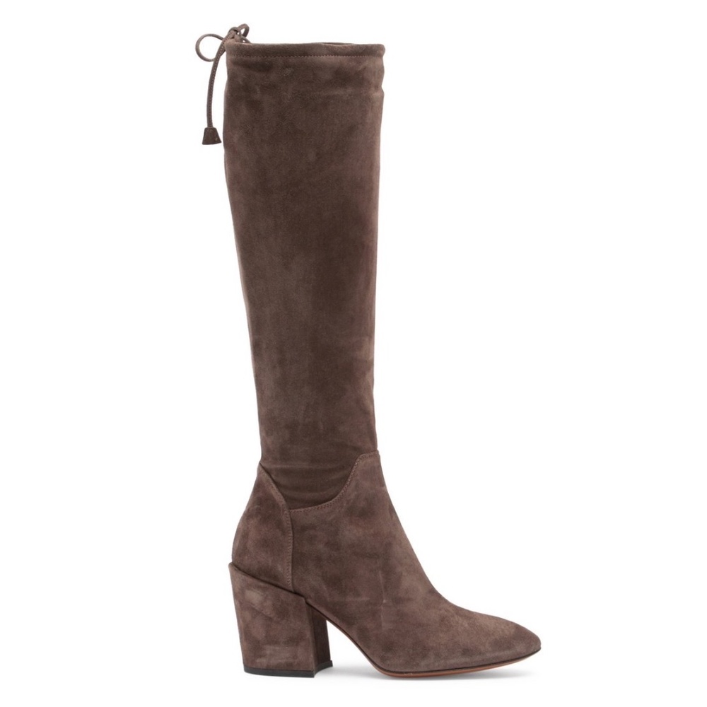 AQUATALIA Floriana Tall Suede Boot